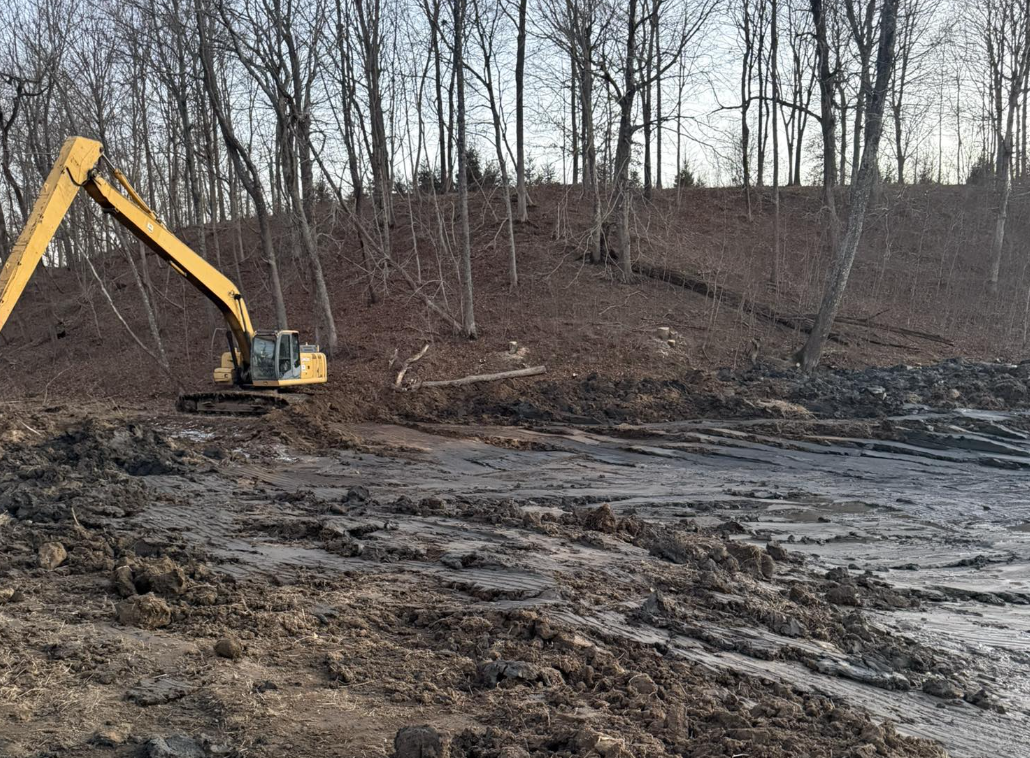 A yellow excavator at a tree removal site on a hillside, with cleared land and bare trees in the background.