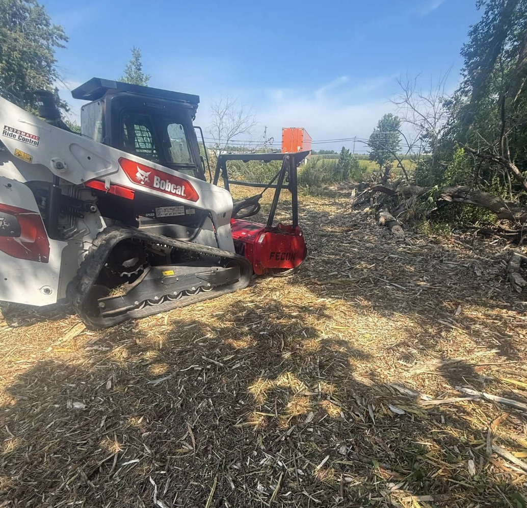 Skid steer performing forestry mulching and land clearing to remove dense brush and vegetation