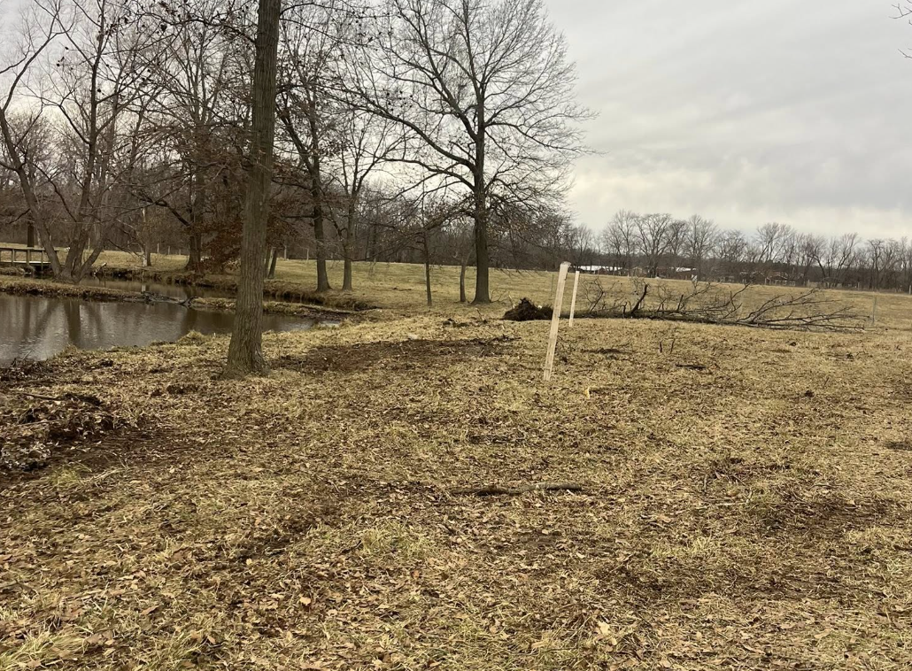 A park with a small pond on the left, trees without leaves, and a fallen tree branch in the open grassy area, under a cloudy sky.