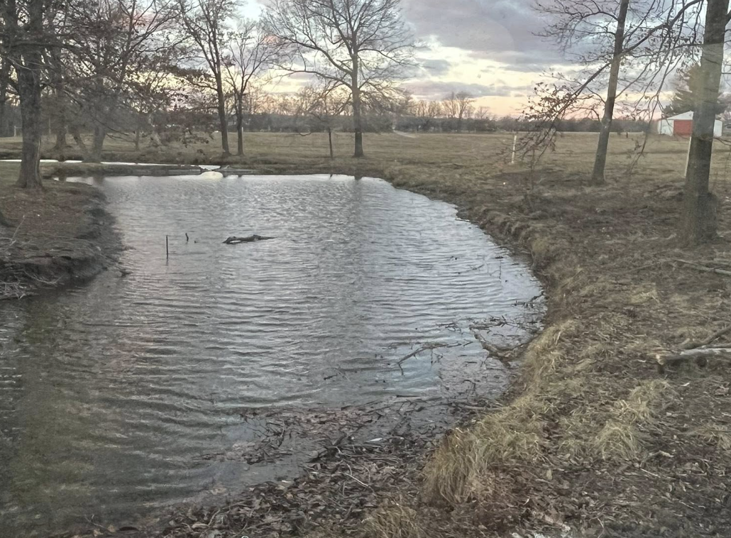 A small pond or creek surrounded by leafless trees and open grassy land during sunset or early evening.