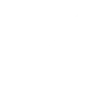 Orange outline of a computer monitor on a white background.