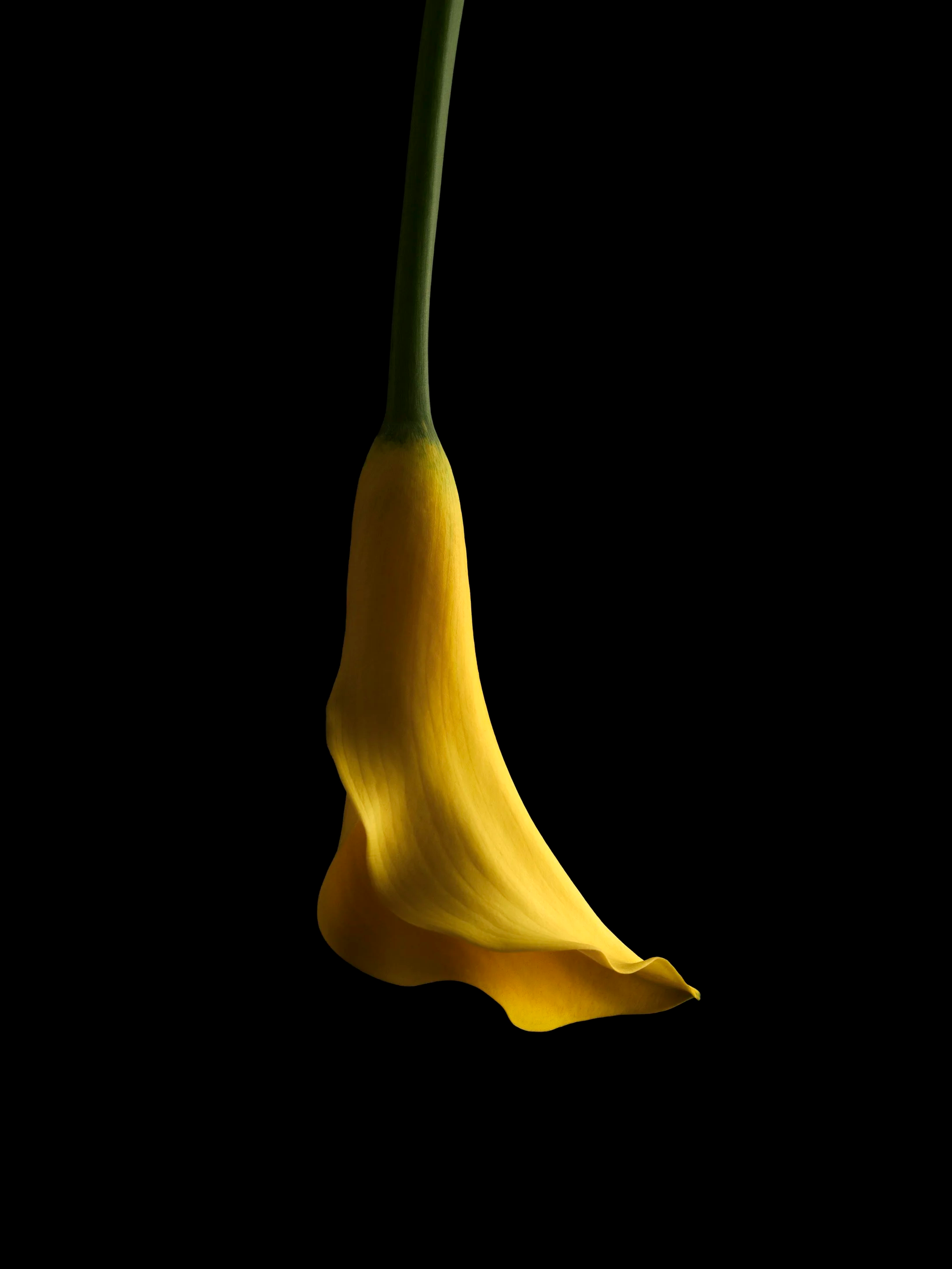 IMG_4744.png
