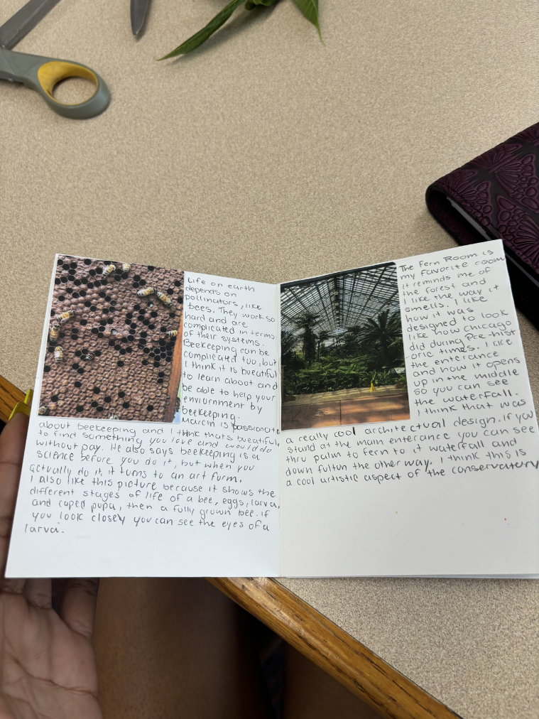 Template-Based Design (5).png