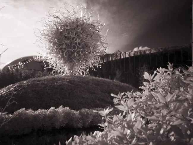 IR Photography