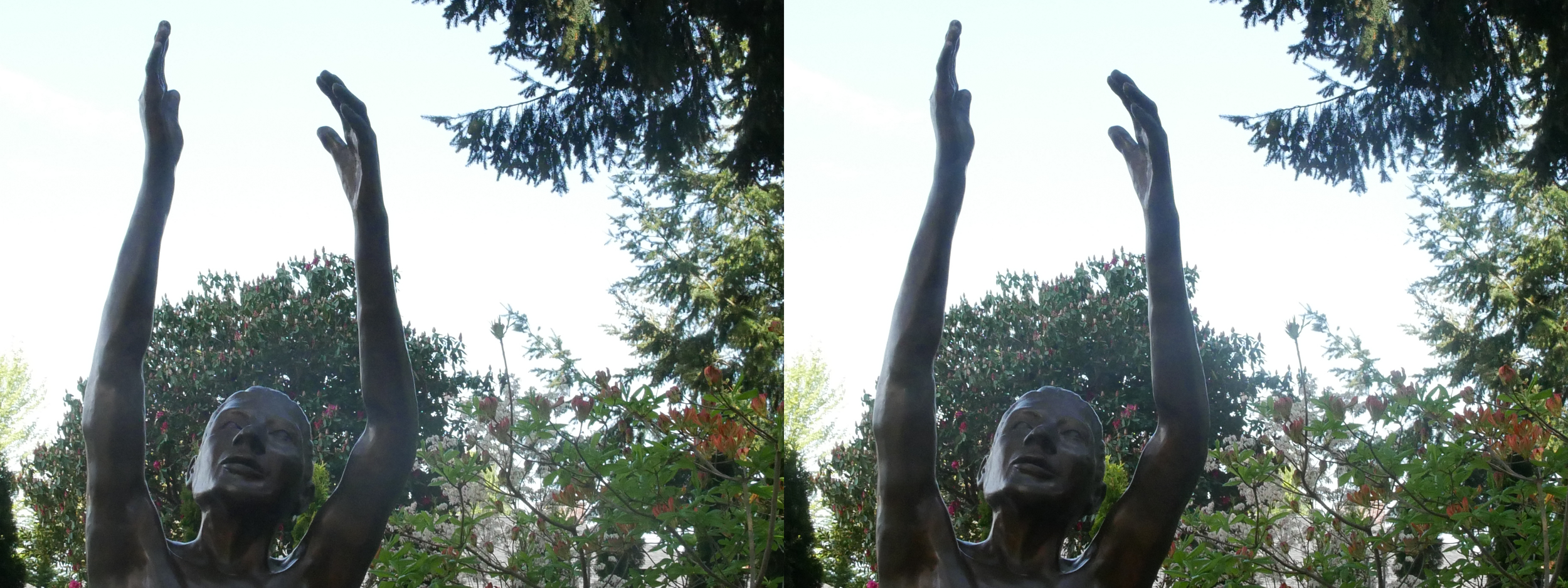 EverettArboretum_ArmsUpStereo.png