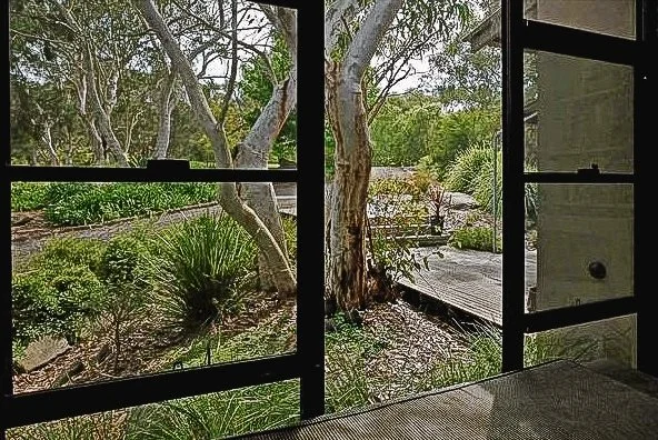 Annangrove study.jpg