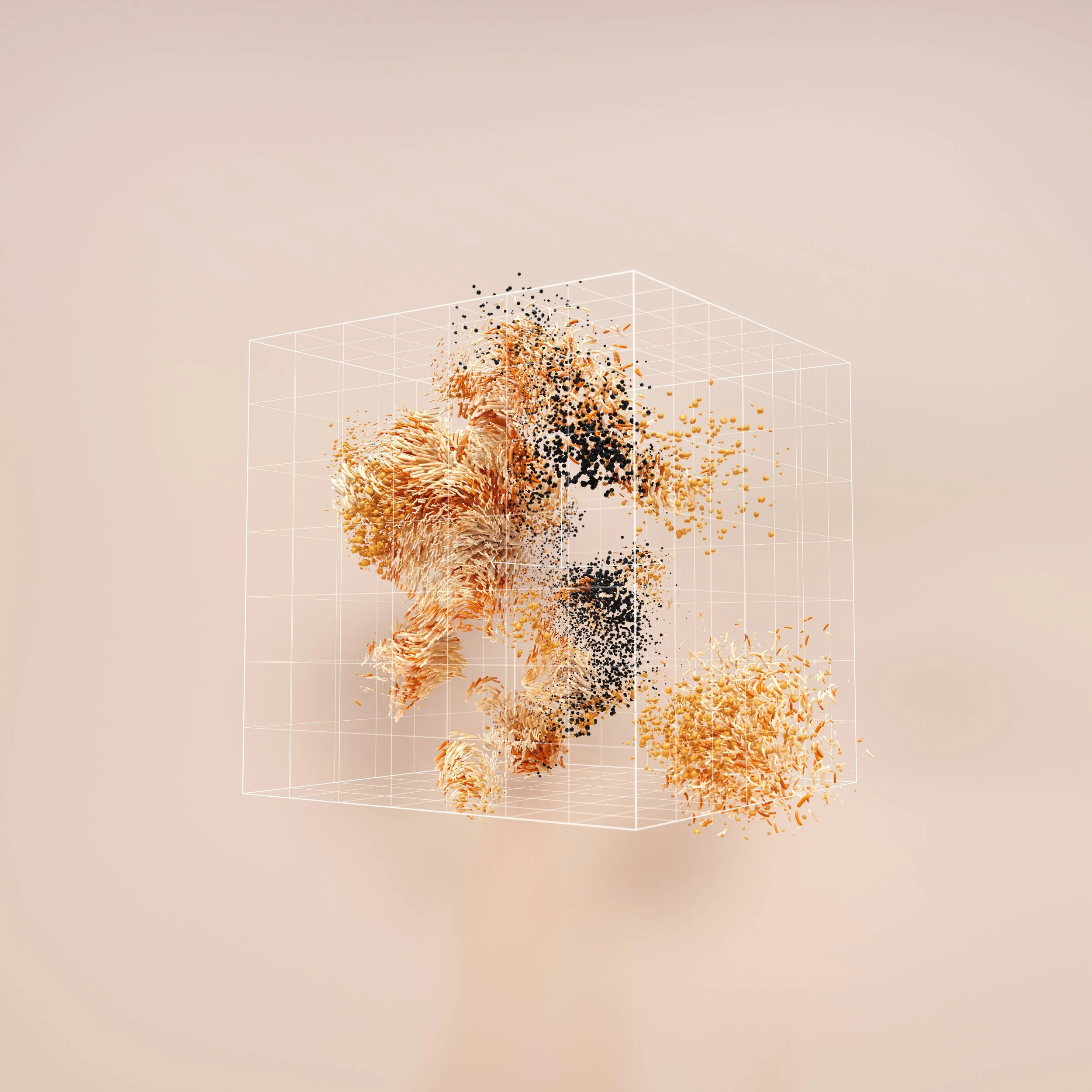 Emotional regulation through heart rate variability and vagal tone optimization