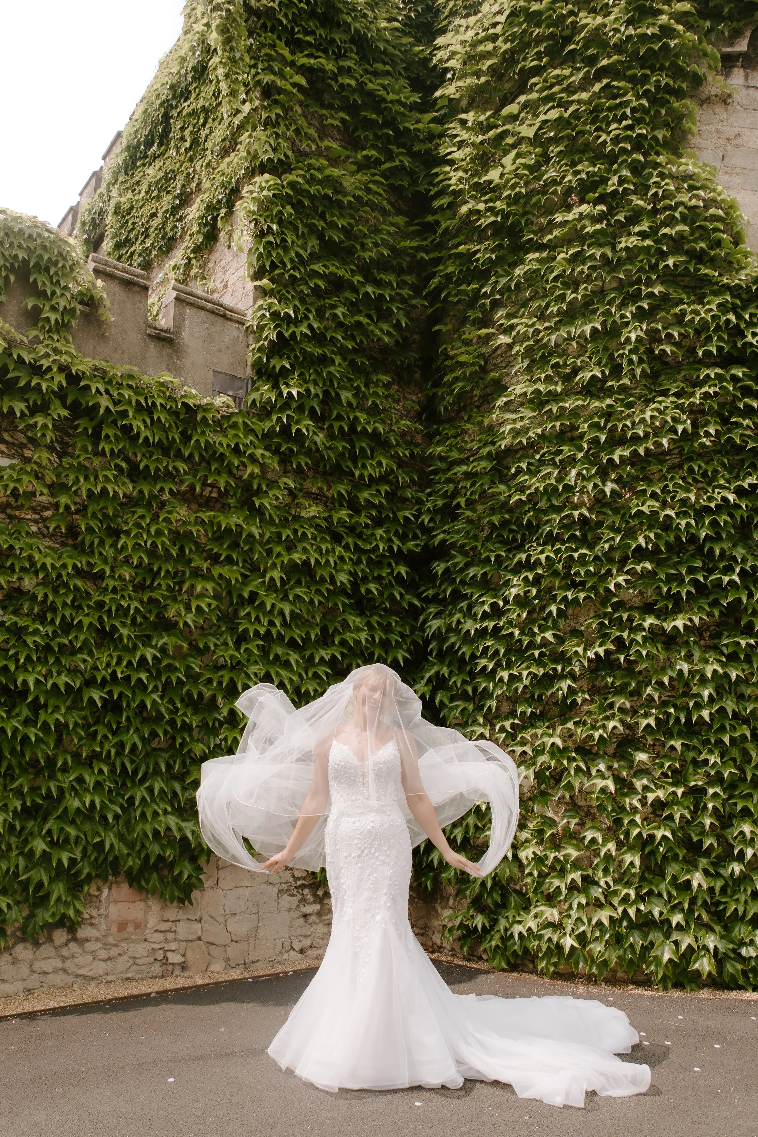 Bride in a white wedding gown and veil standing in front of a wall covered with green ivy.