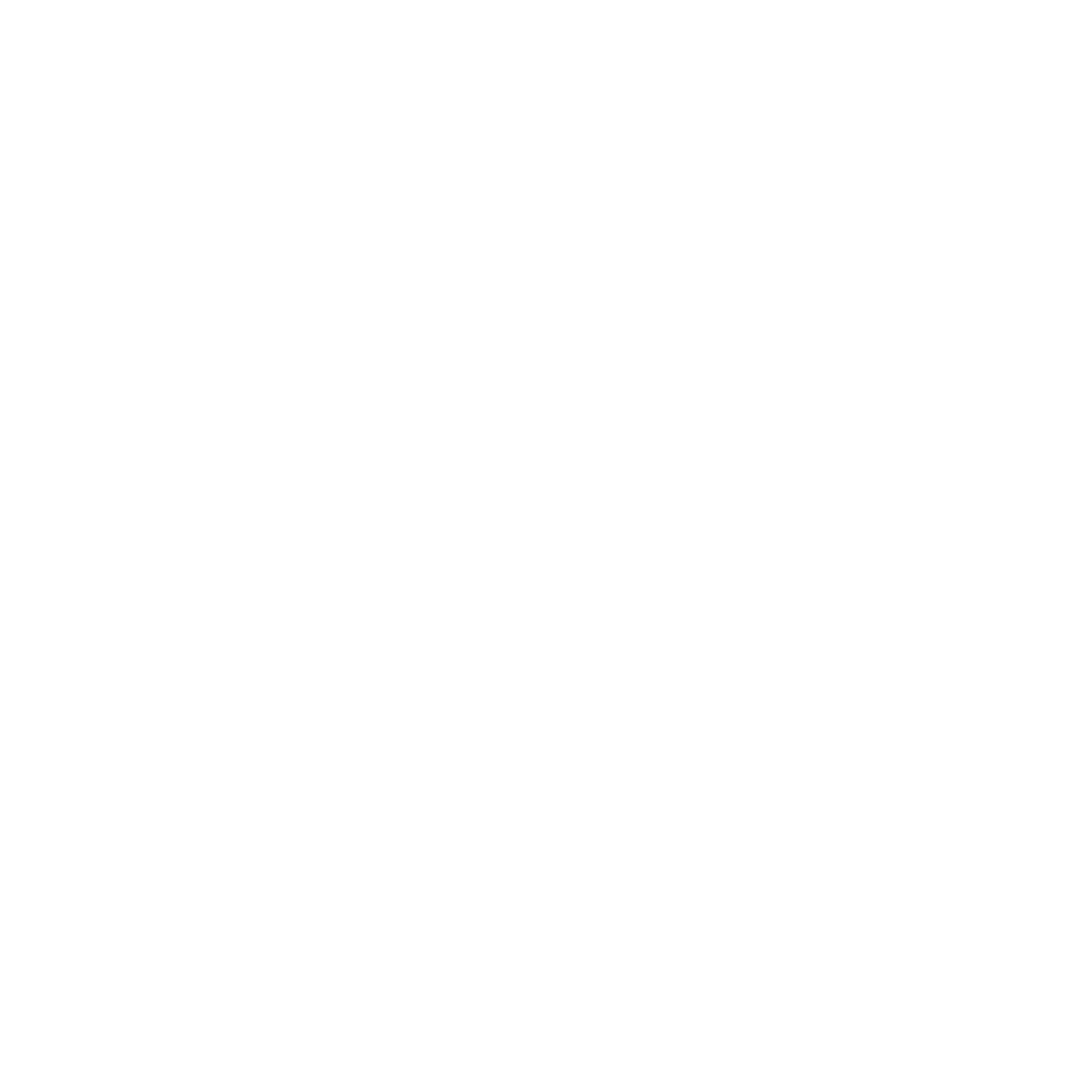 Prime_logo_white.png