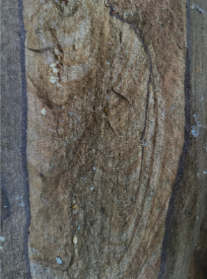Texture on a rock, representing that even hard surfaces can be carved and transformed through time.