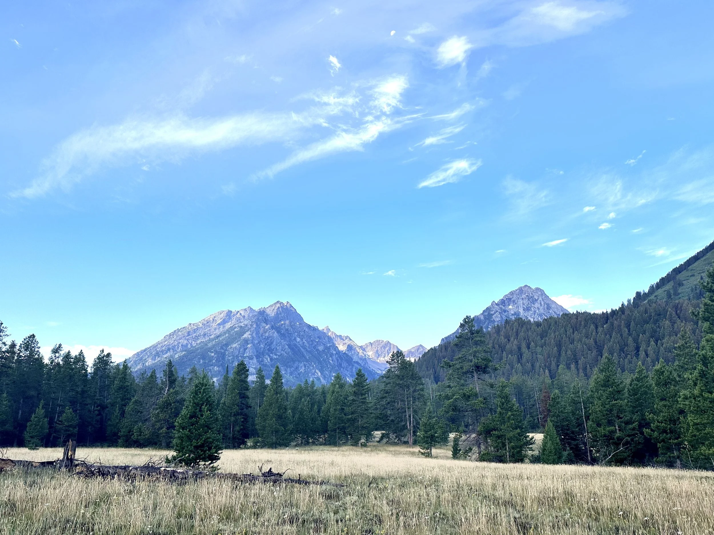 The view from the north side of Grand Teton National Park, signifying that solo trips are empowering.