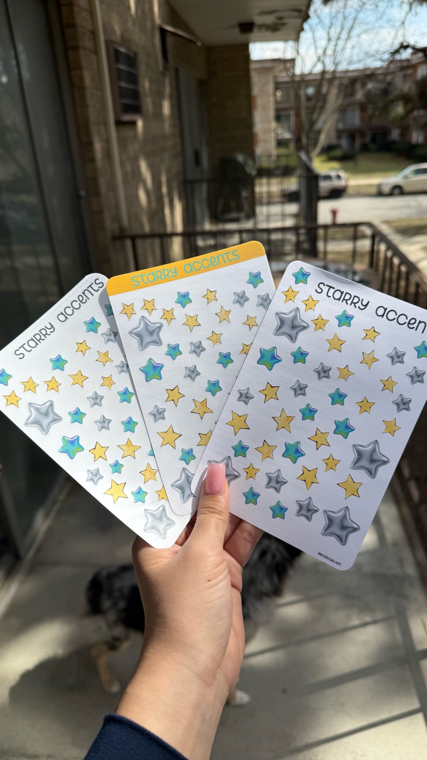 Starry Accents Sticker Sheet