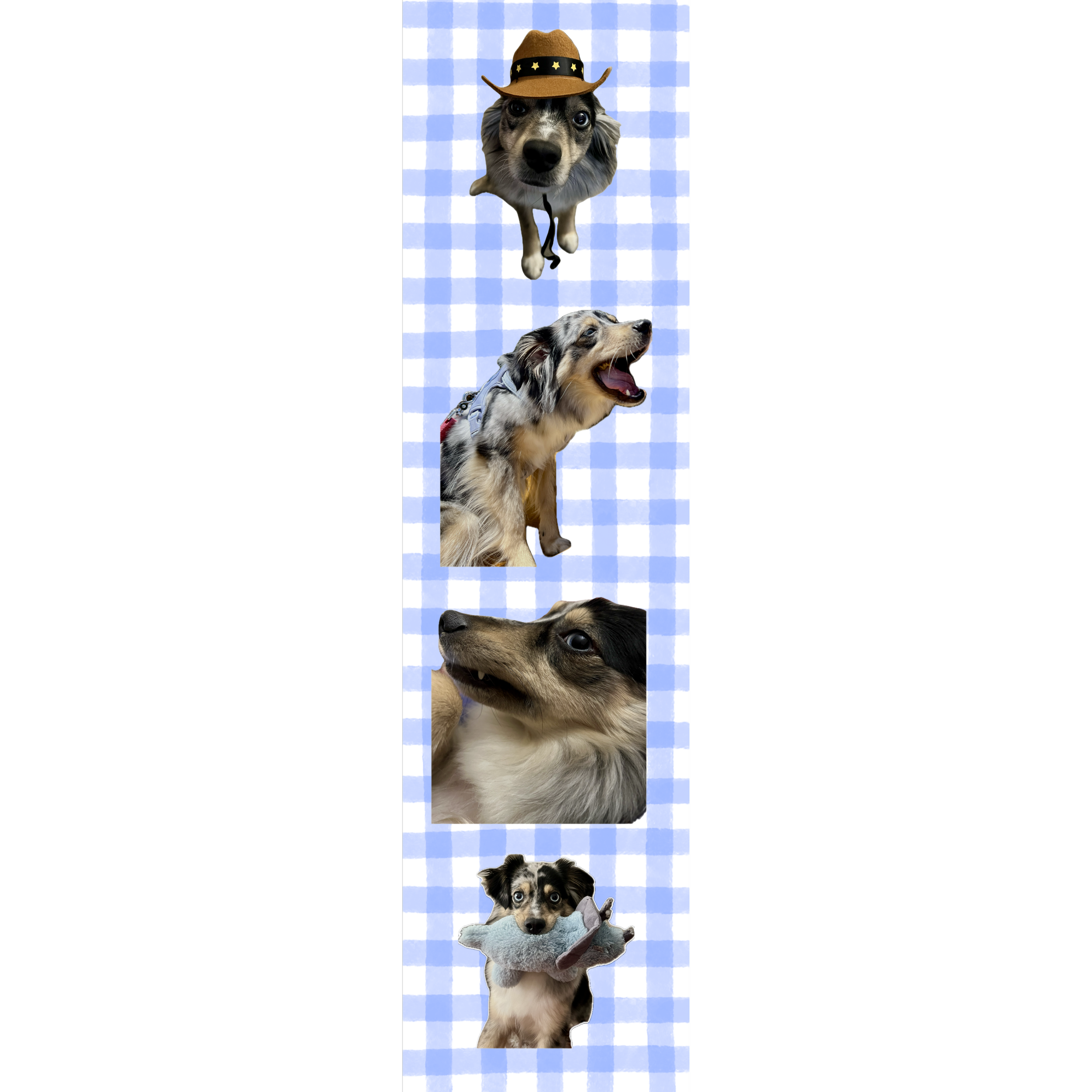 43.png