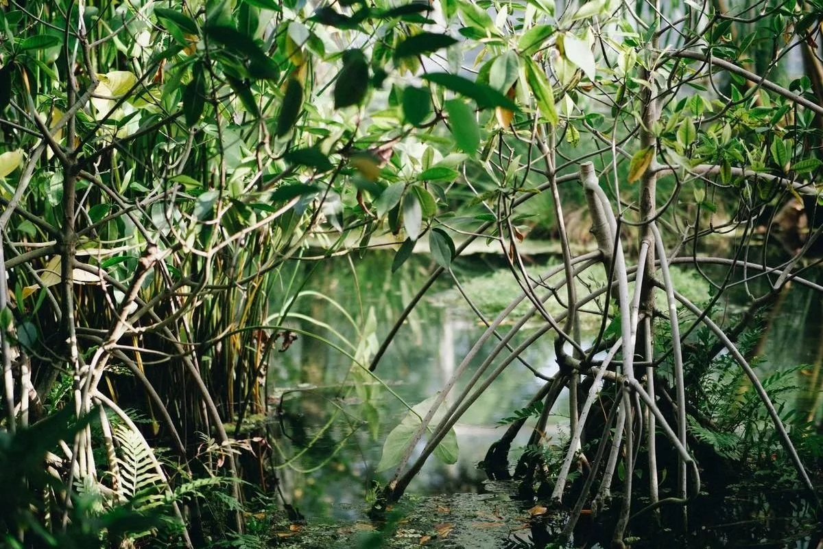 Rooted in Connection: Building Resilient Foundations for Global Workers
