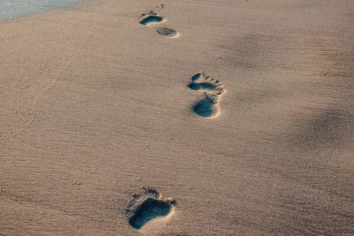 Giving Thanks for the Journey: Embracing God’s Transforming Path