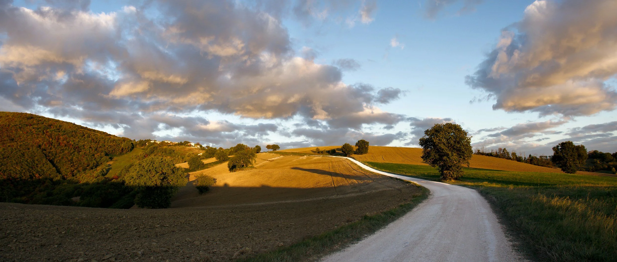 Long road in late afternoon light, the road to Emmaus and the words we had hoped