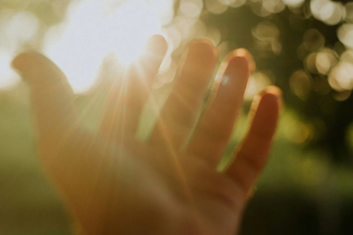 Open hands in natural light representing the act of releasing pain and choosing forgiveness