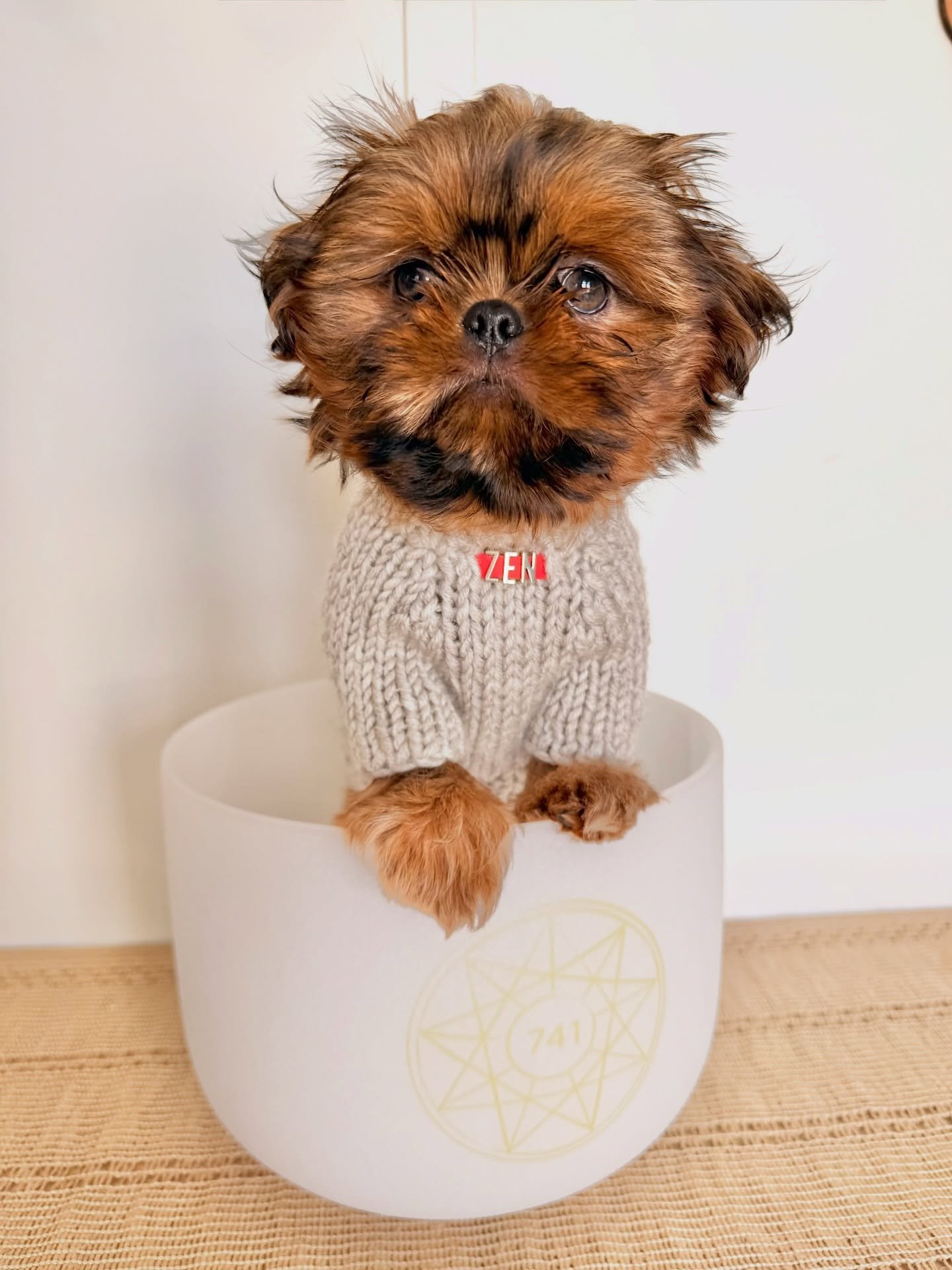 WELCOME ZEN TO REIKI &amp; RHYTHMS 🤍✨

Our newest (and tiniest) member of the Vibe Tribe has officially begun his sound journey.

Right now, we&rsquo;re starting with the basics &mdash; calm exposure, socialization, confidence building&hellip; and l