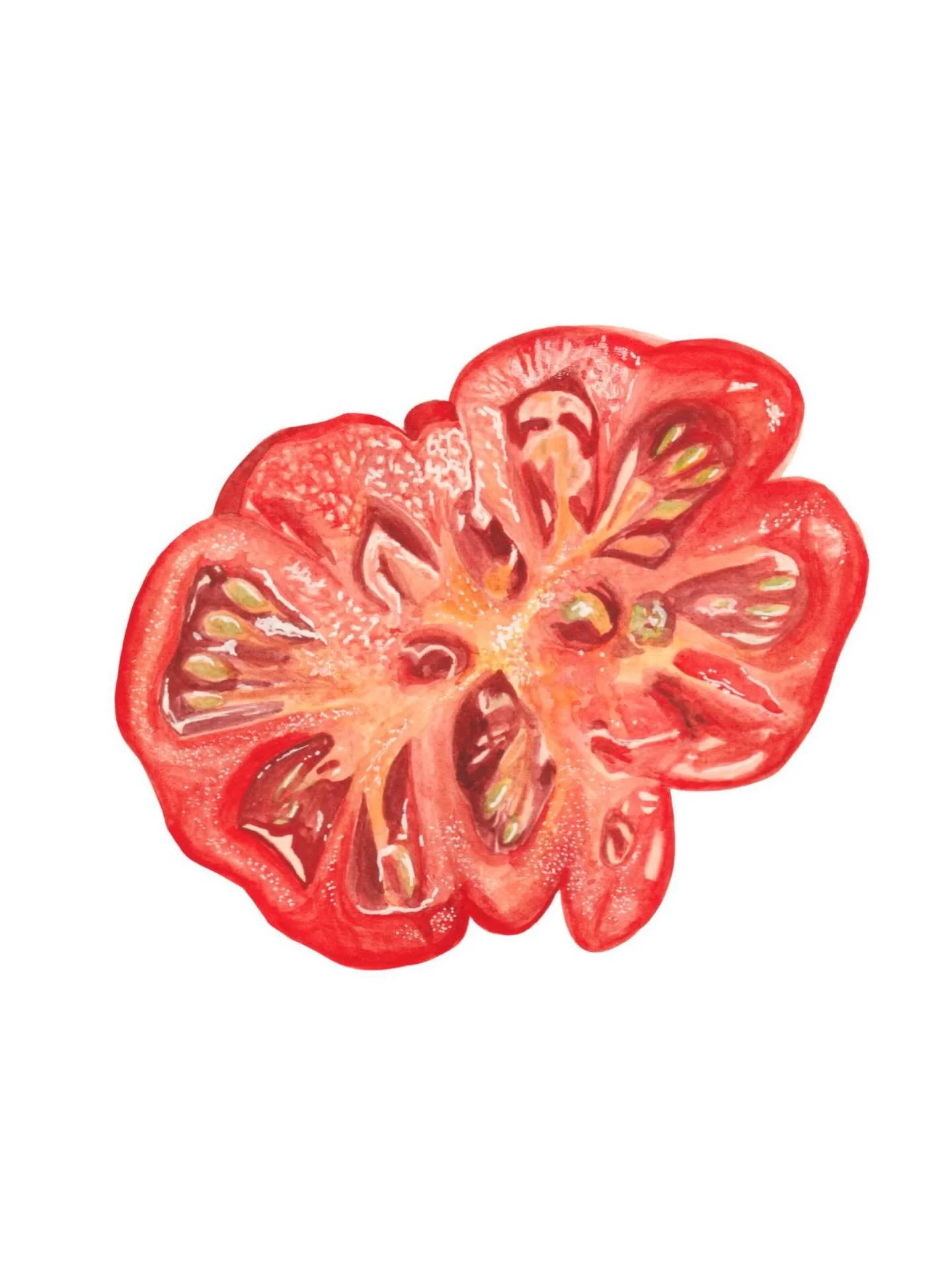 Haven&rsquo;t popped in for a while, I&rsquo;ve been busy making a non-painting related project that I might post - but for now, please enjoy a juicy slice of tomato 🍅 

#food #foodart #tomato #italianfood #foodartist