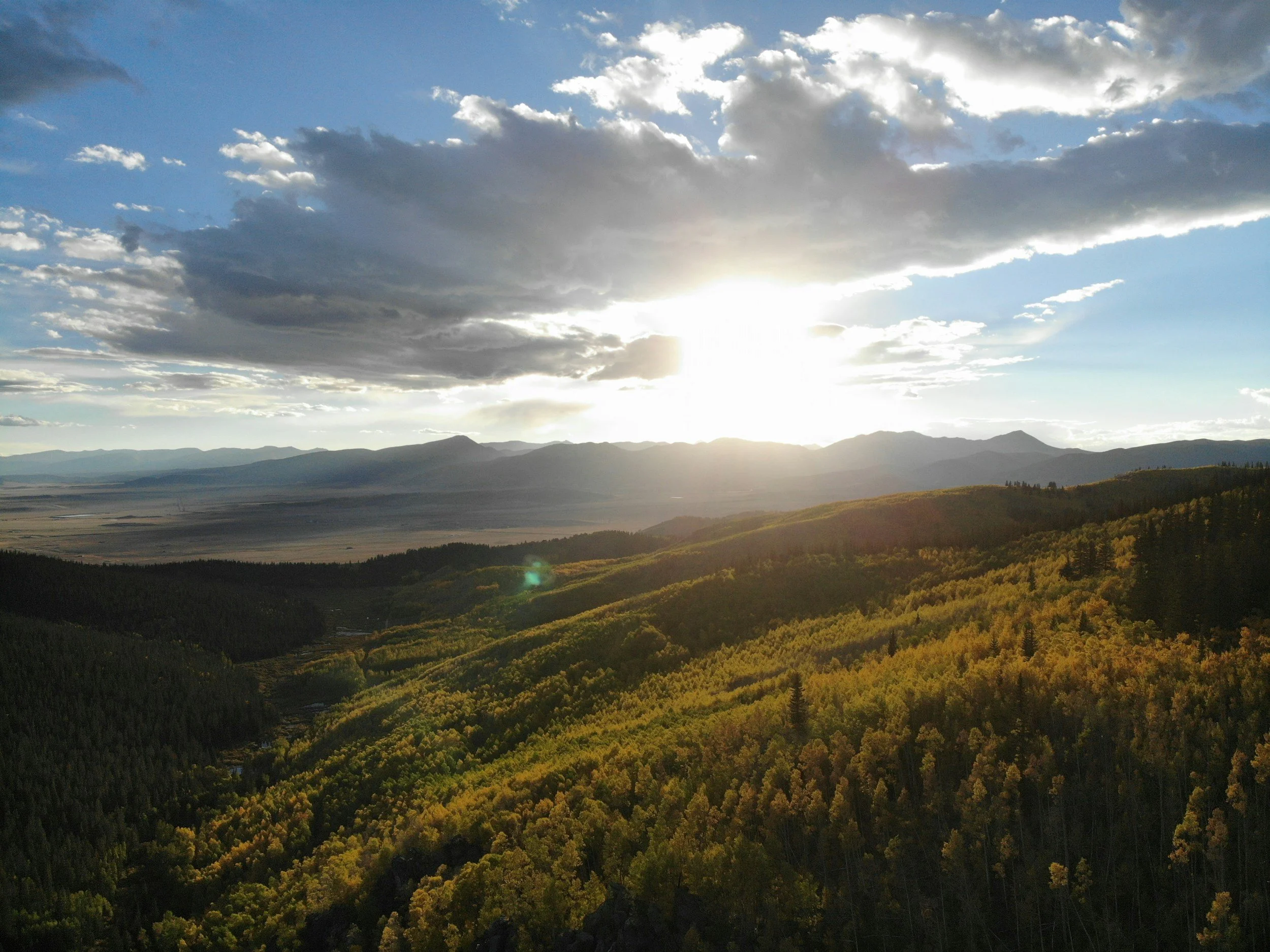 Sunset over a mountain range with a forested hillside in the foreground.