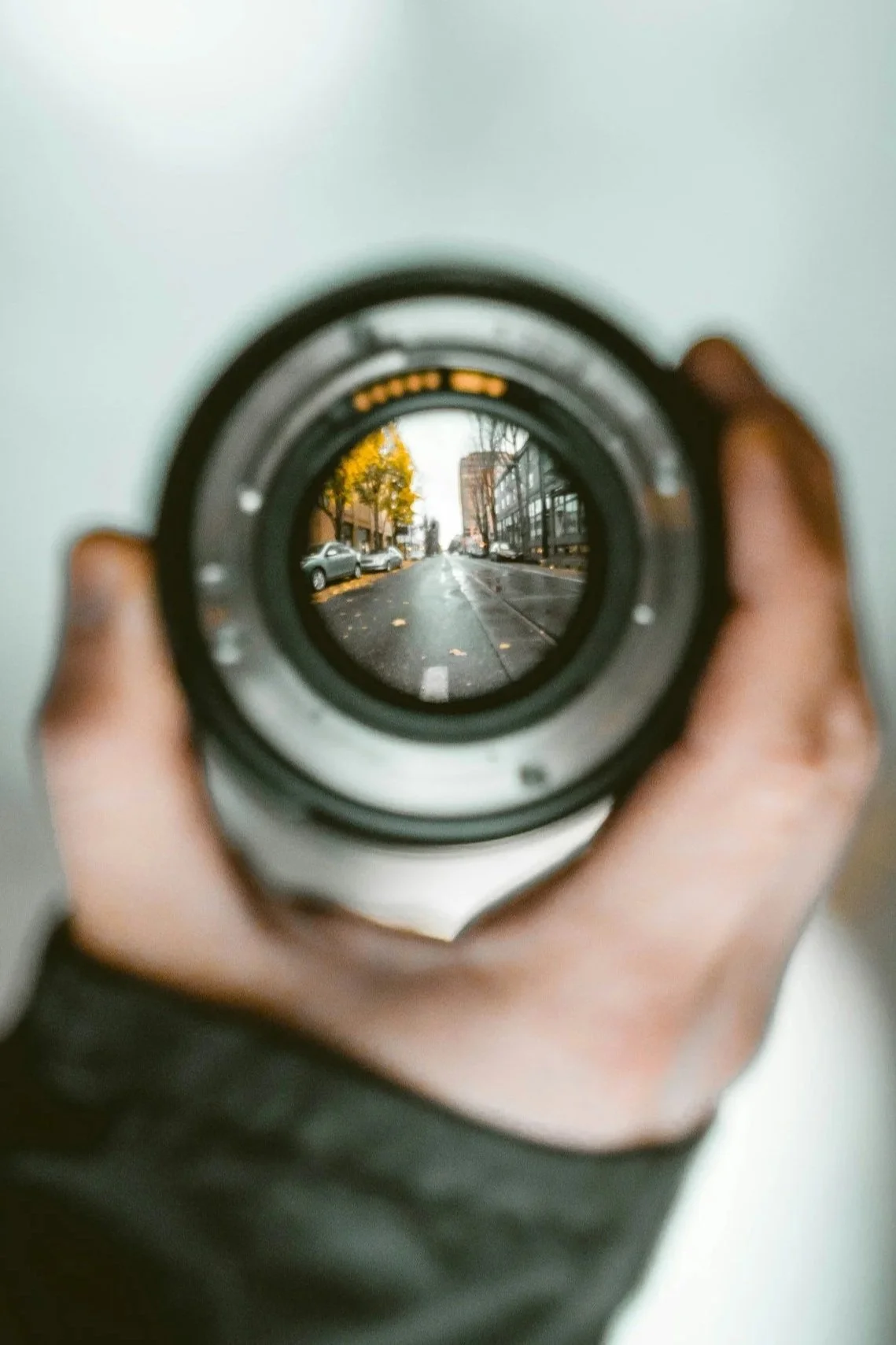City street scene with wet pavement, parked cars, trees with yellow leaves, and buildings, viewed through a camera lens.