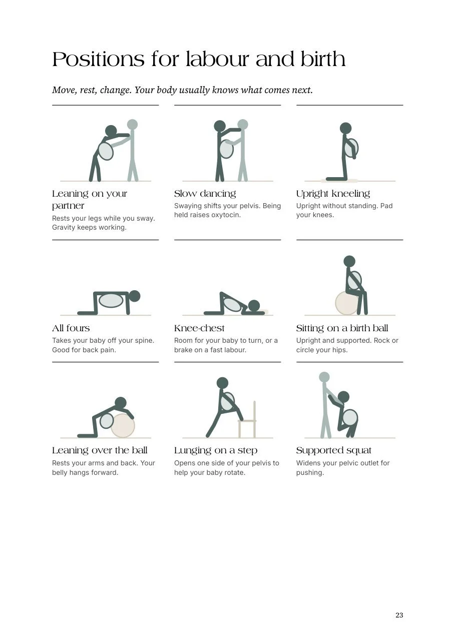 page-positions-A4.jpg
