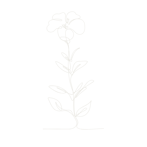 A simple line drawing of a flower with leaves on a black background.