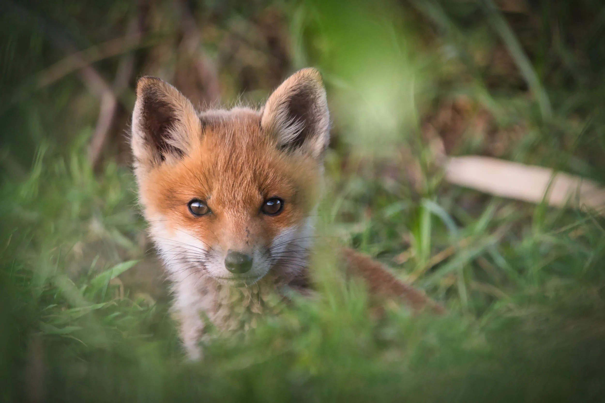 DSC_8032 Kopie 2min.jpeg