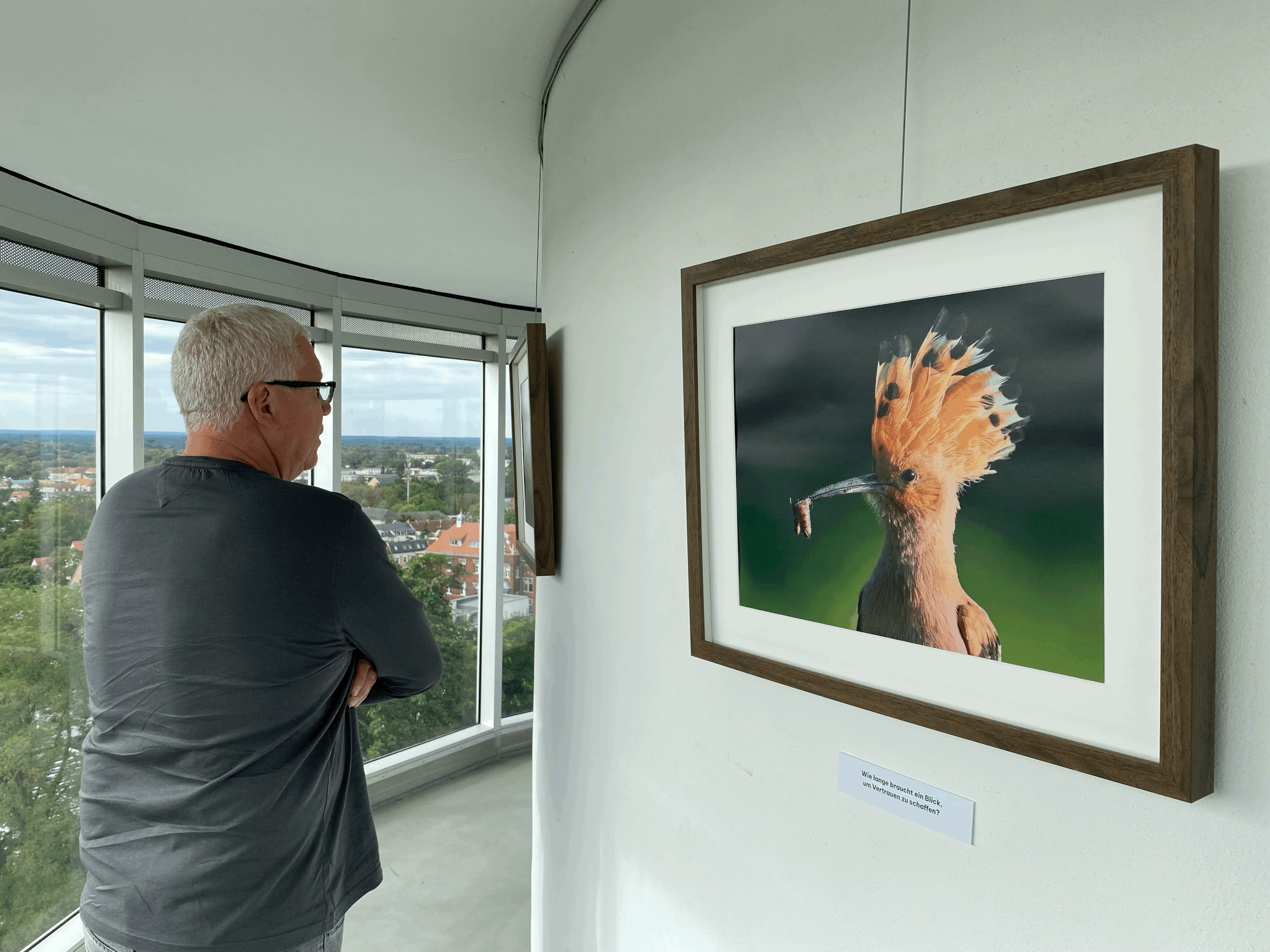 Ausstellung Bergfest 2025