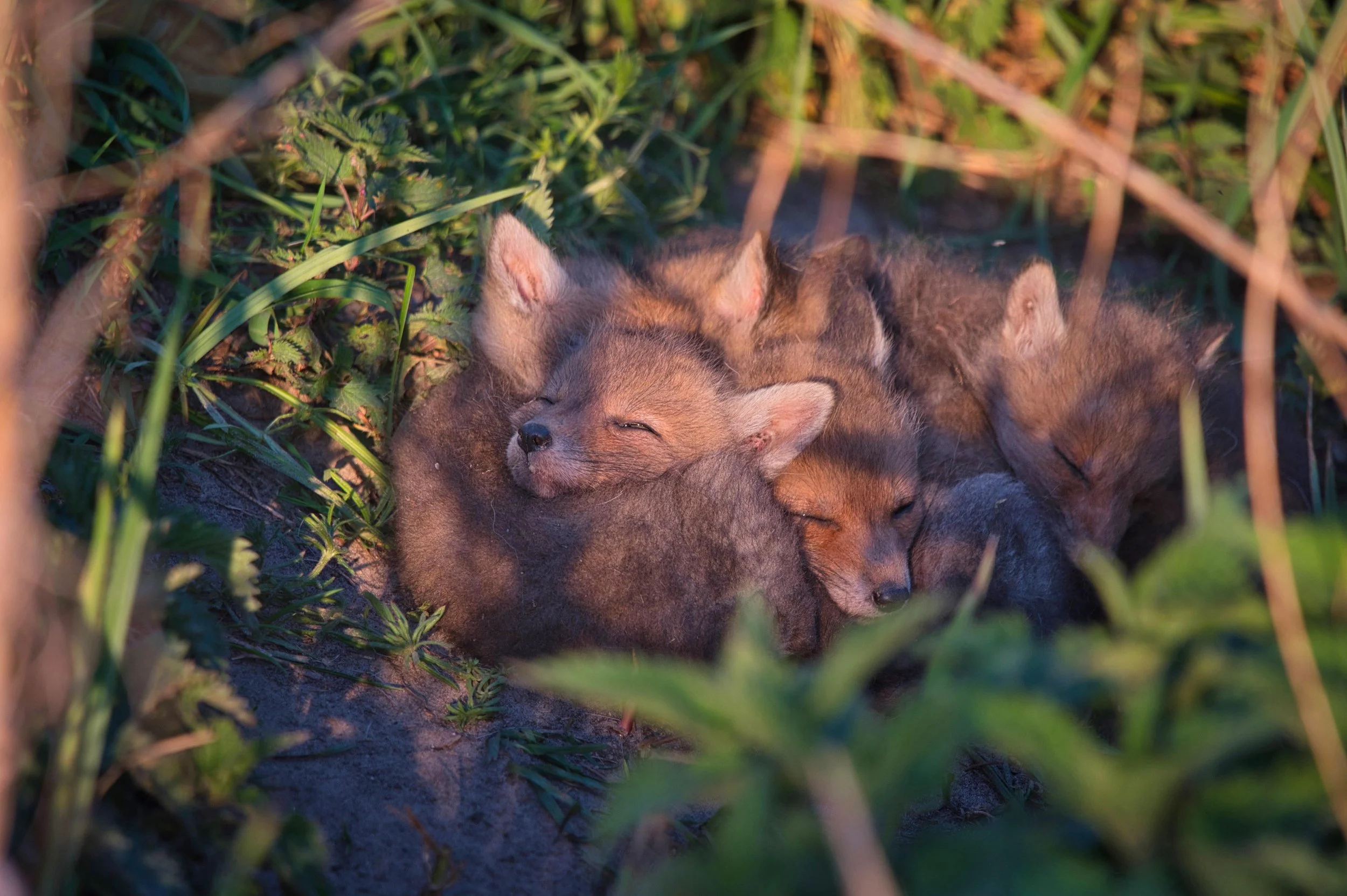 Bild 25 Kopie-min.jpeg