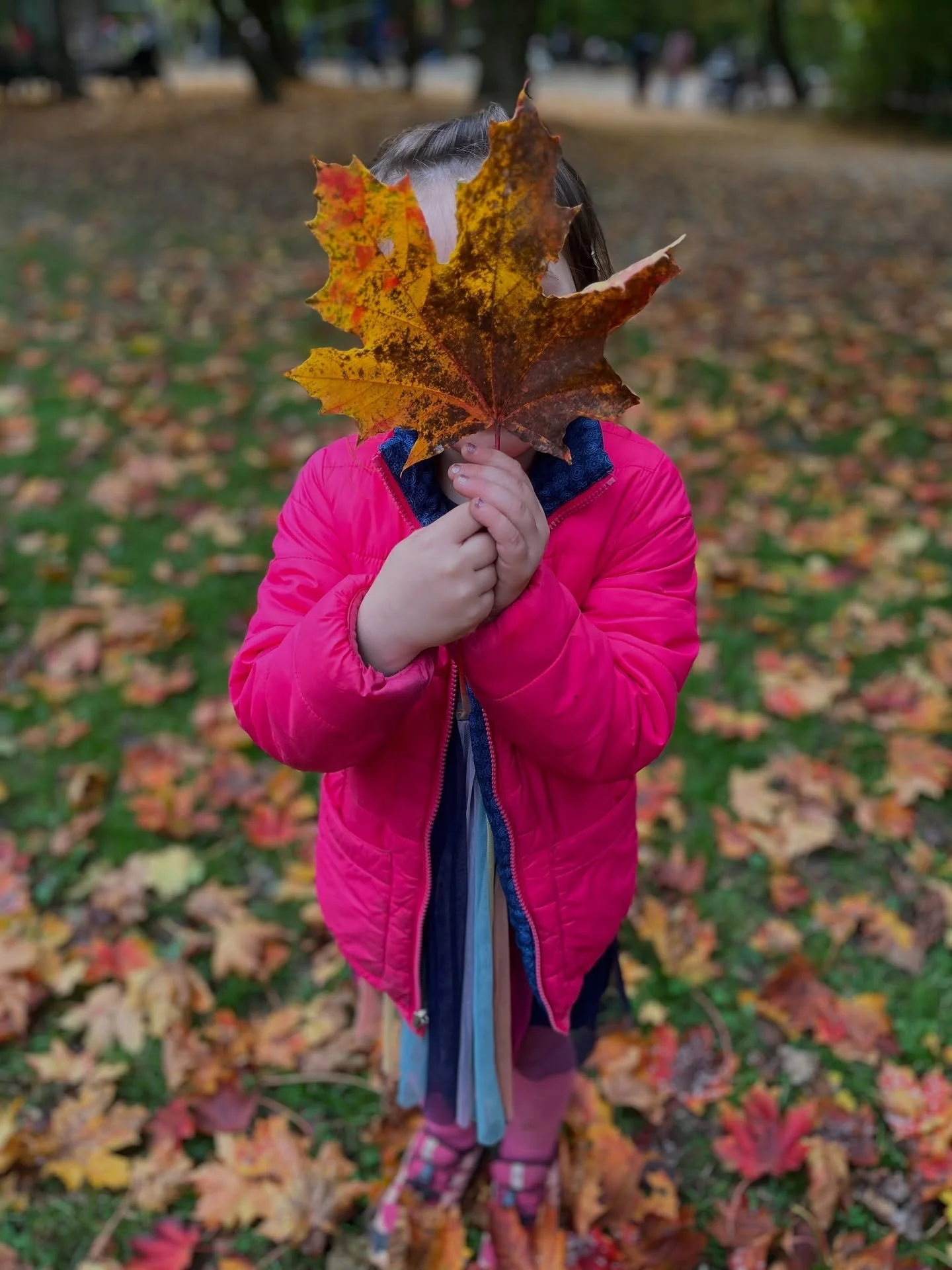 🍁 Herbstzeit ist Kinderzeit! 🍂
Wenn die Bl&auml;tter fallen und die Luft nach Abenteuer riecht, starten unsere Kinderevents in eine neue Saison!
Von K&uuml;rbispartys &uuml;ber kreative Bastelstunden bis hin zu Schatzsuchen im bunten Laub &ndash; w