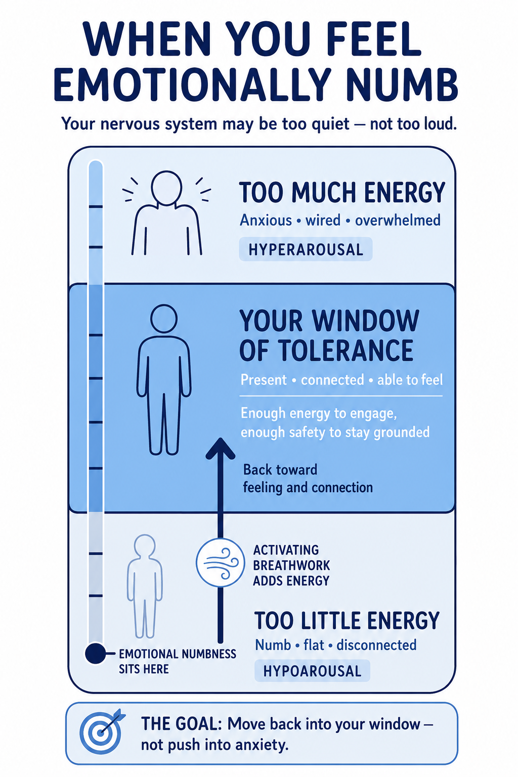 Window of tolerance diagram showing emotional numbness in the hypoarousal zone and how activating breathwork supports upregulation — Kora Wellness