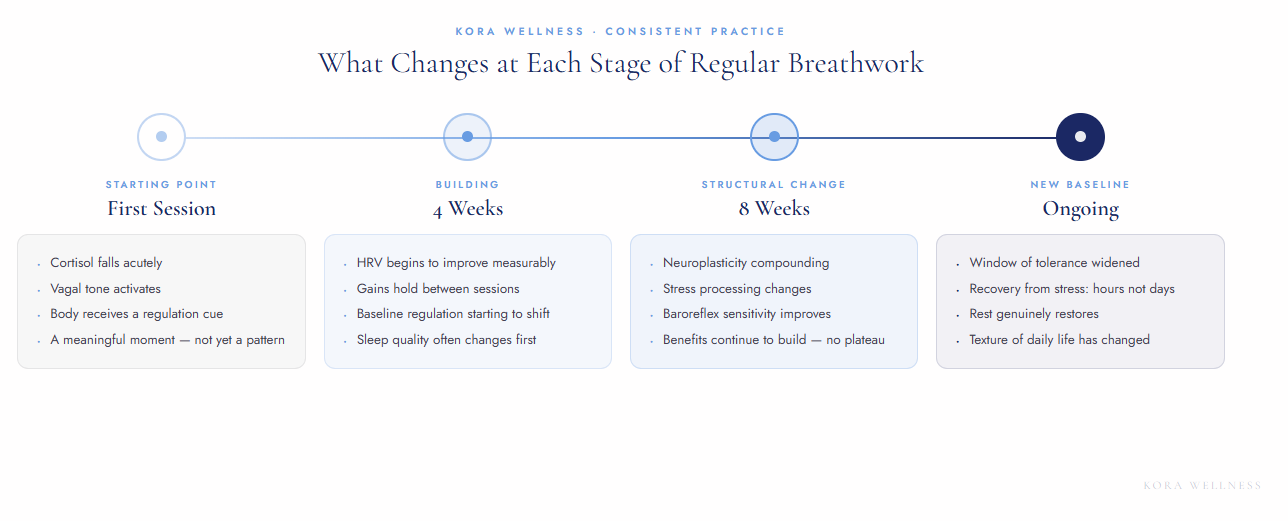 Timeline showing what changes at each stage of a consistent 9D breathwork practice from first session through four weeks, eight weeks, and ongoing — Kora Wellness Illawarra