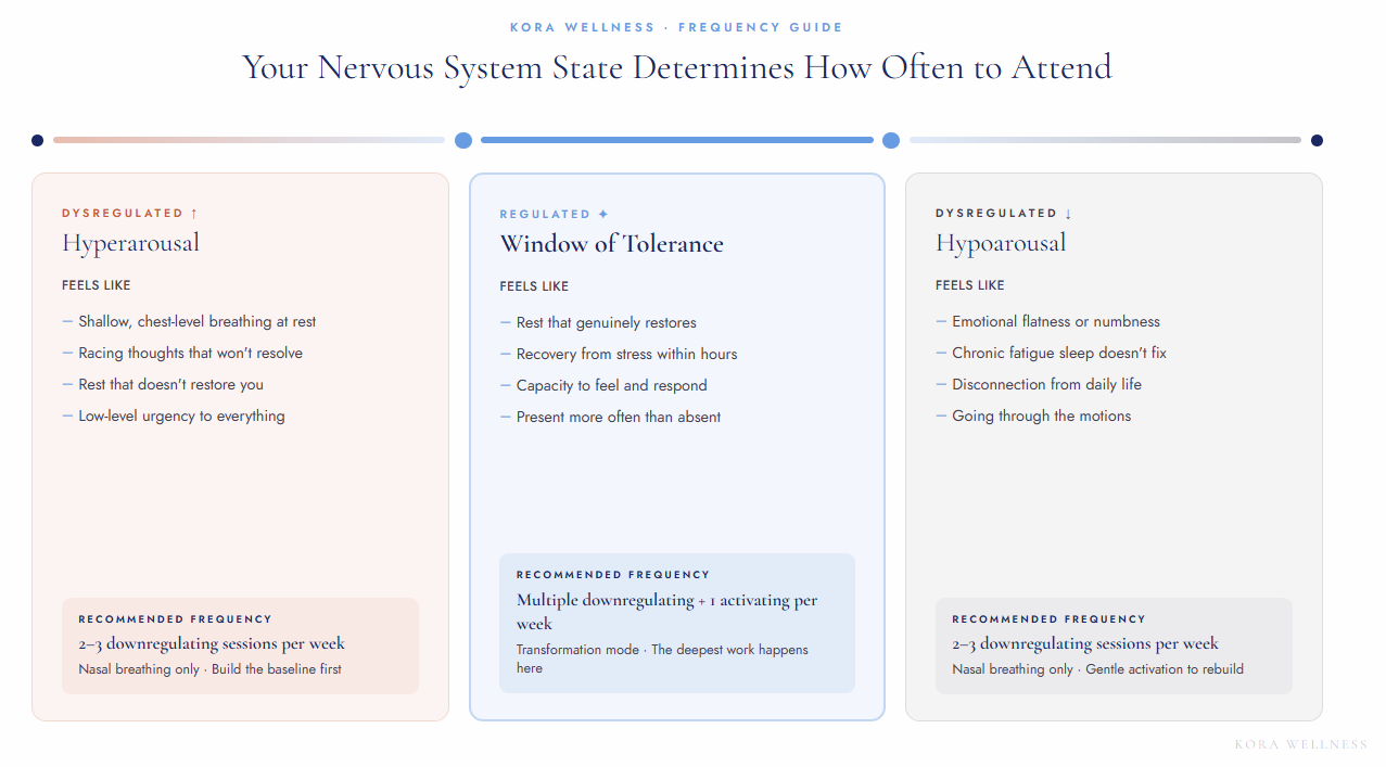 Diagram showing the nervous system regulation spectrum from hyperarousal to hypoarousal with 9D breathwork session frequency recommendations — Kora Wellness Port Kembla