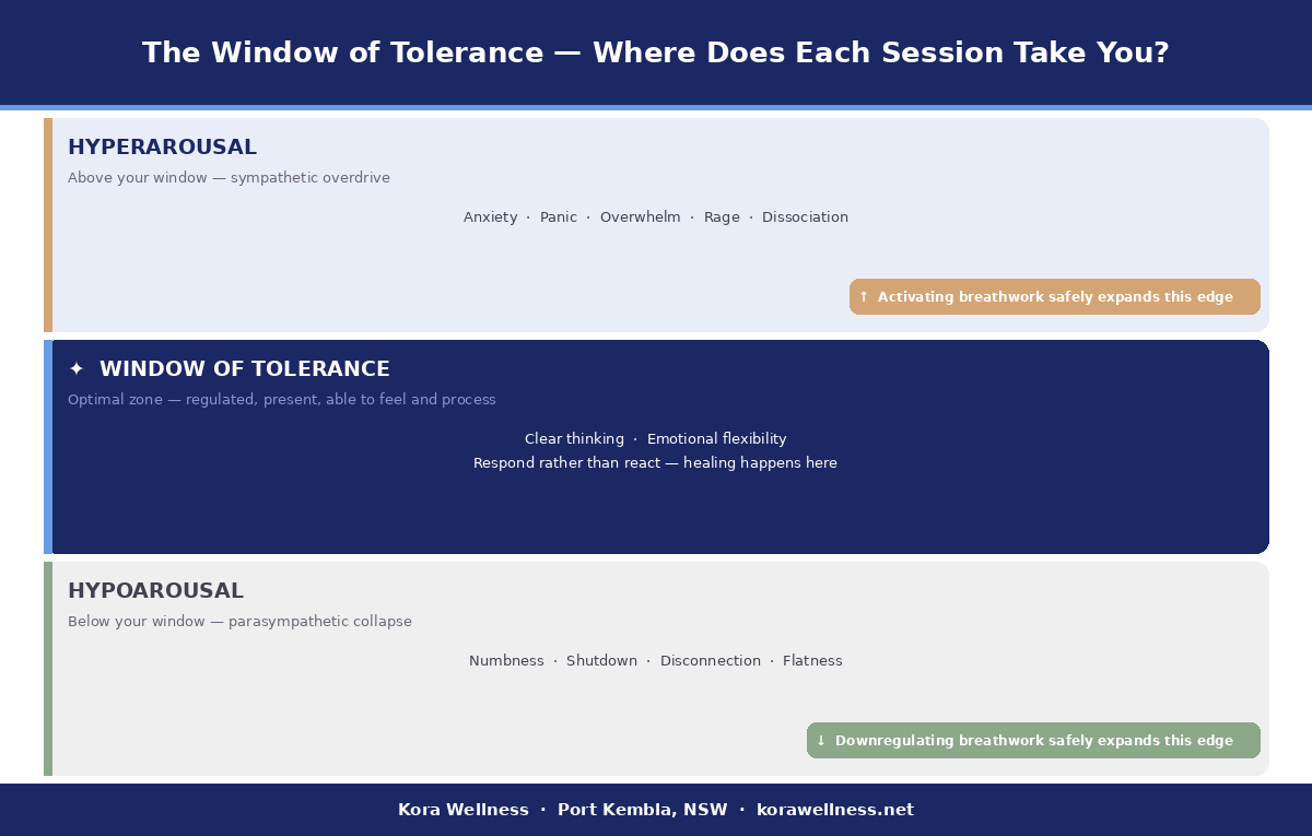 Window of Tolerance diagram showing hyperarousal at the top, the regulated zone in the middle and hypoarousal at the bottom — with notes showing activating breathwork expands the upper edge and downregulating breathwork expands the lower edge