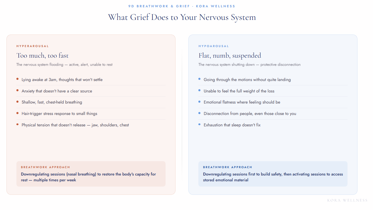 Diagram showing hyperarousal and hypoarousal nervous system states in grief with symptoms of each and the 9D breathwork approach for each state — Kora Wellness Port Kembla