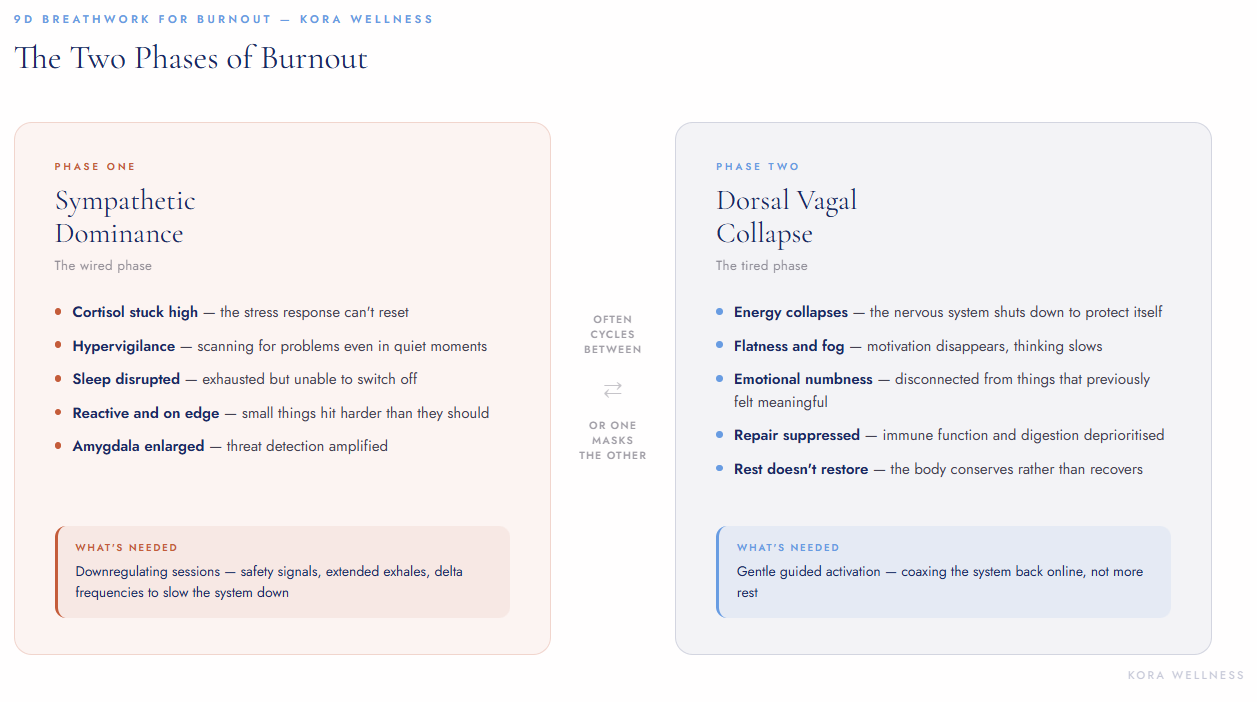 Diagram showing the two phases of burnout — sympathetic dominance and dorsal vagal collapse — and what each nervous system state needs for recovery, from Kora Wellness Port Kembla