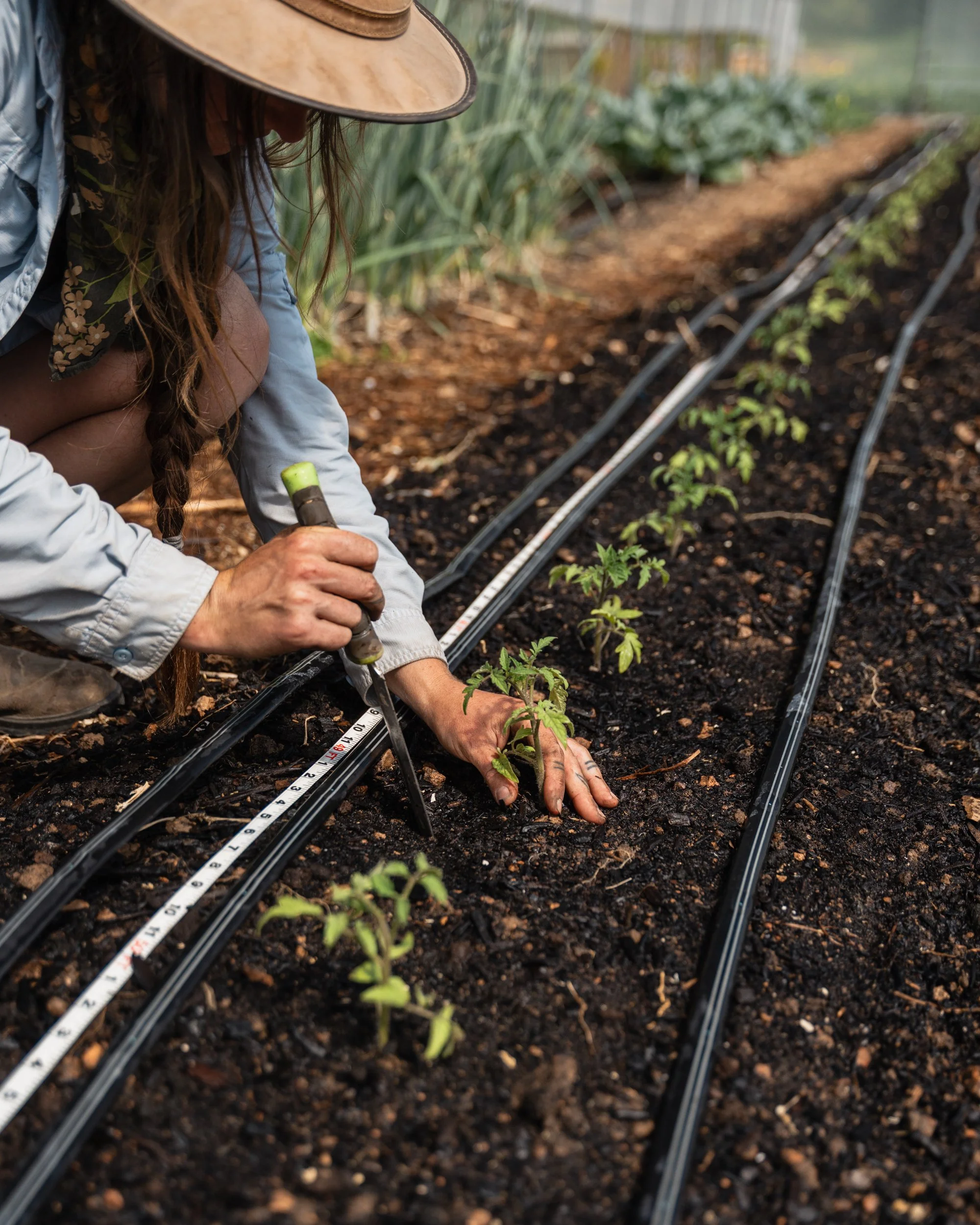 Farm to Table Bentonville