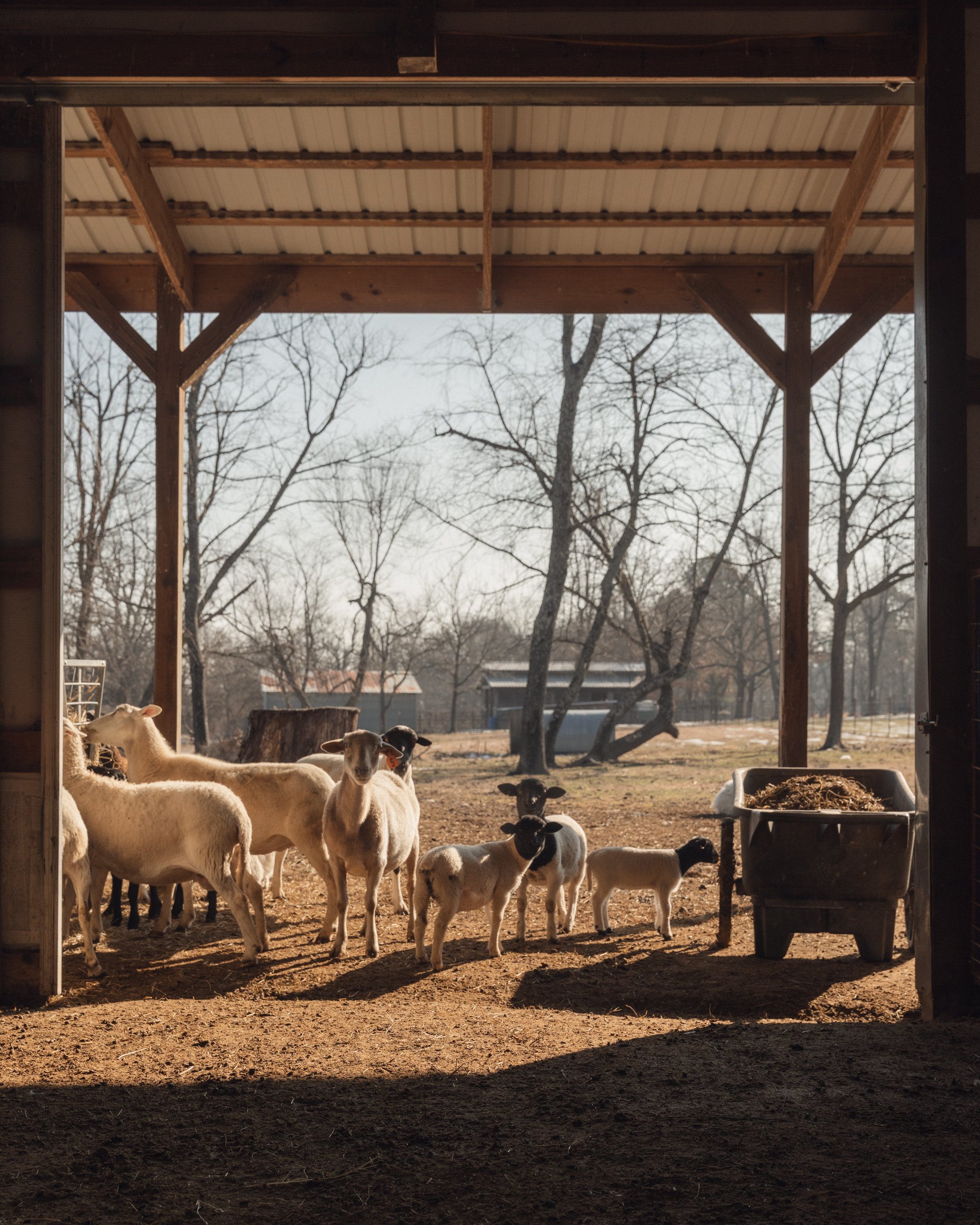 Hanna Family Ranch