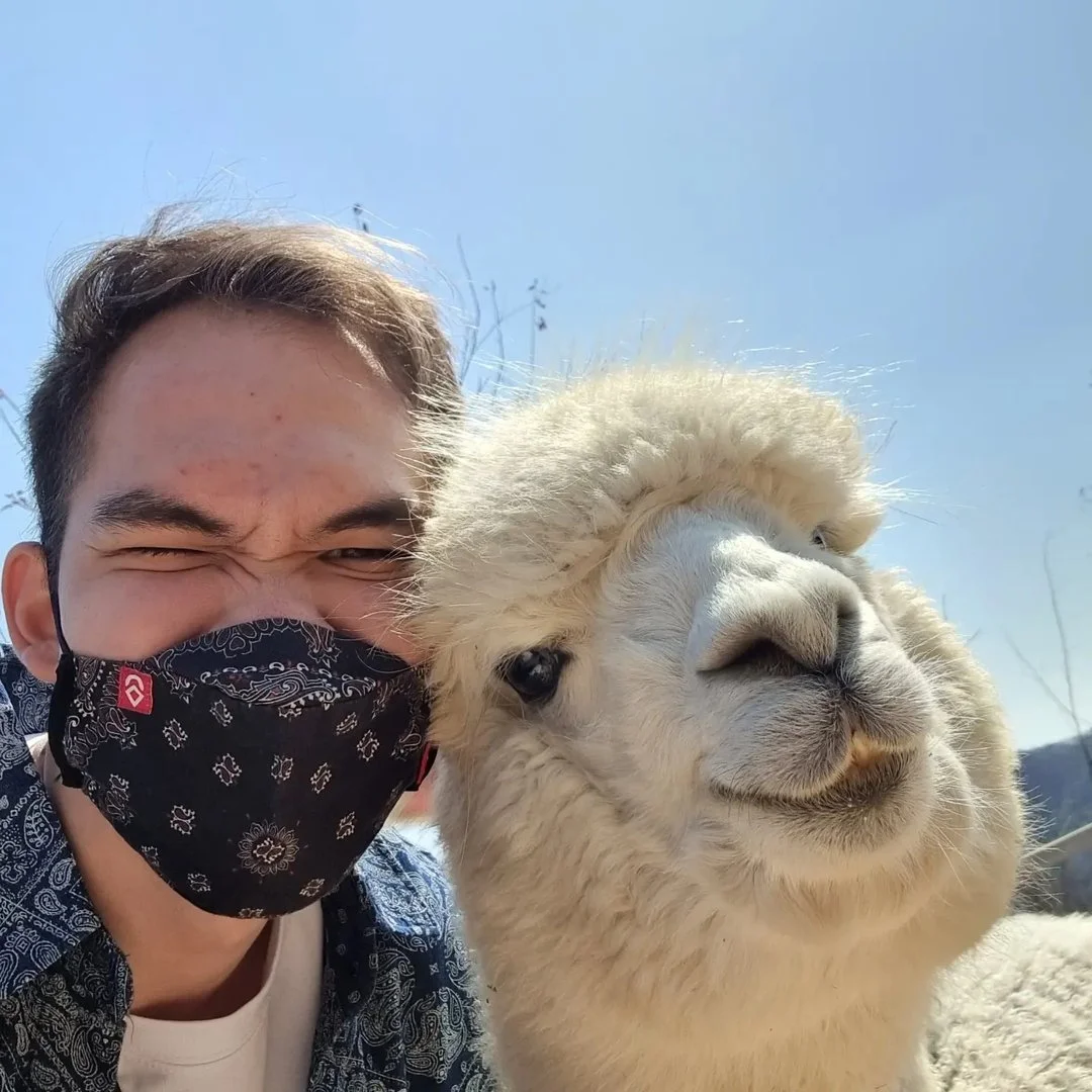 heythomask profile image.jpg