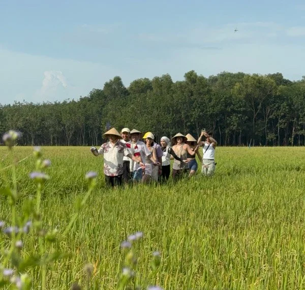 Group of people walking through a green rice field with trees and blue sky in the background, some wearing wide-brimmed hats on a sunny day.