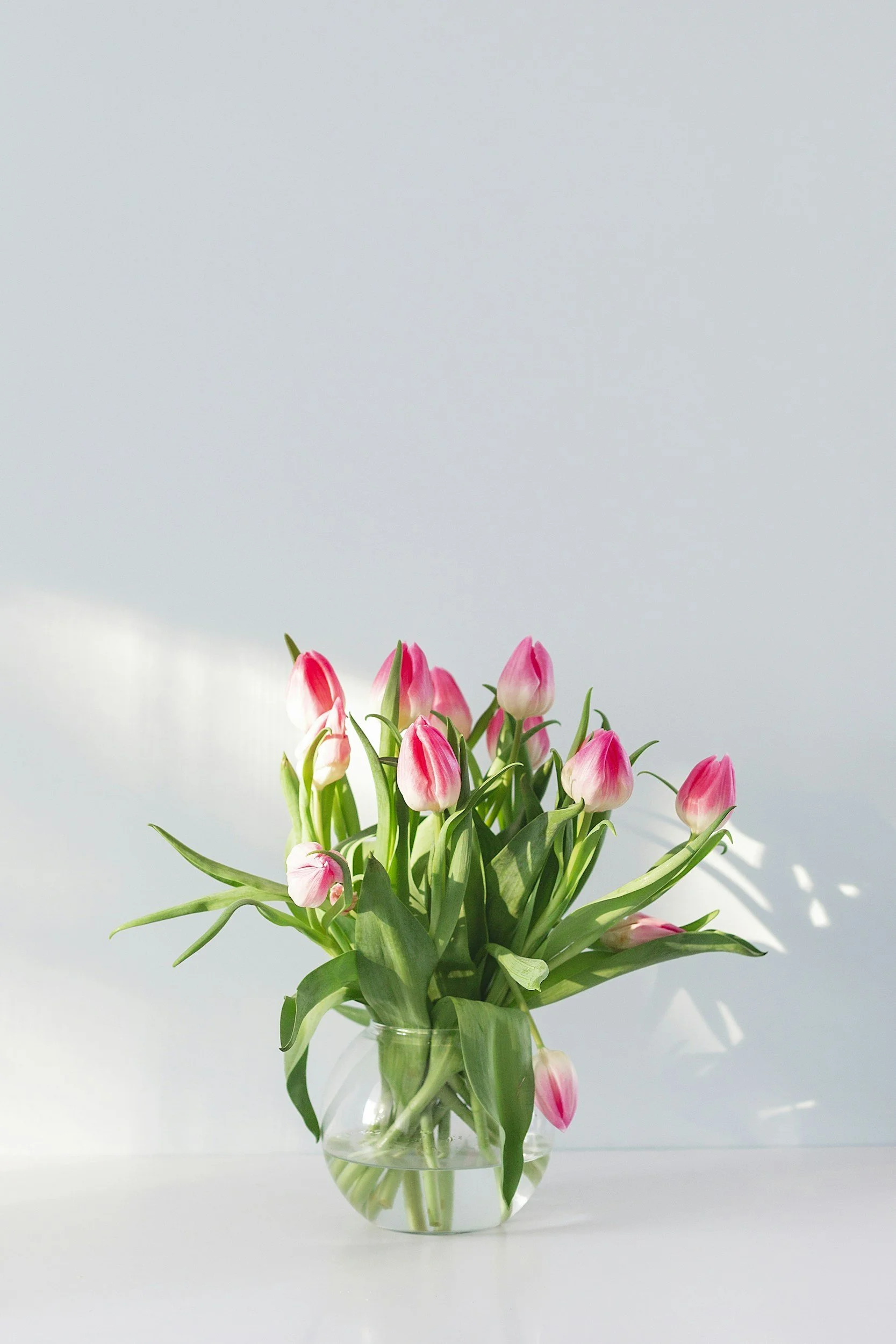 unsplash-image-vI1tsd3G2fs.jpg