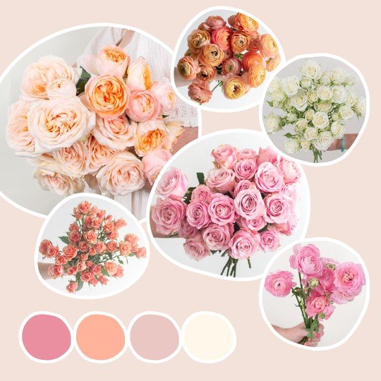 181Peach_Blush_andCreamMixedBox_520bfd71-a2a7-4908-a411-c9141b182cb6.jpeg