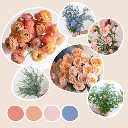 132PeachandBlueMixedBox_cba8a336-cebe-45f6-a702-6d2514a9ff8d.png