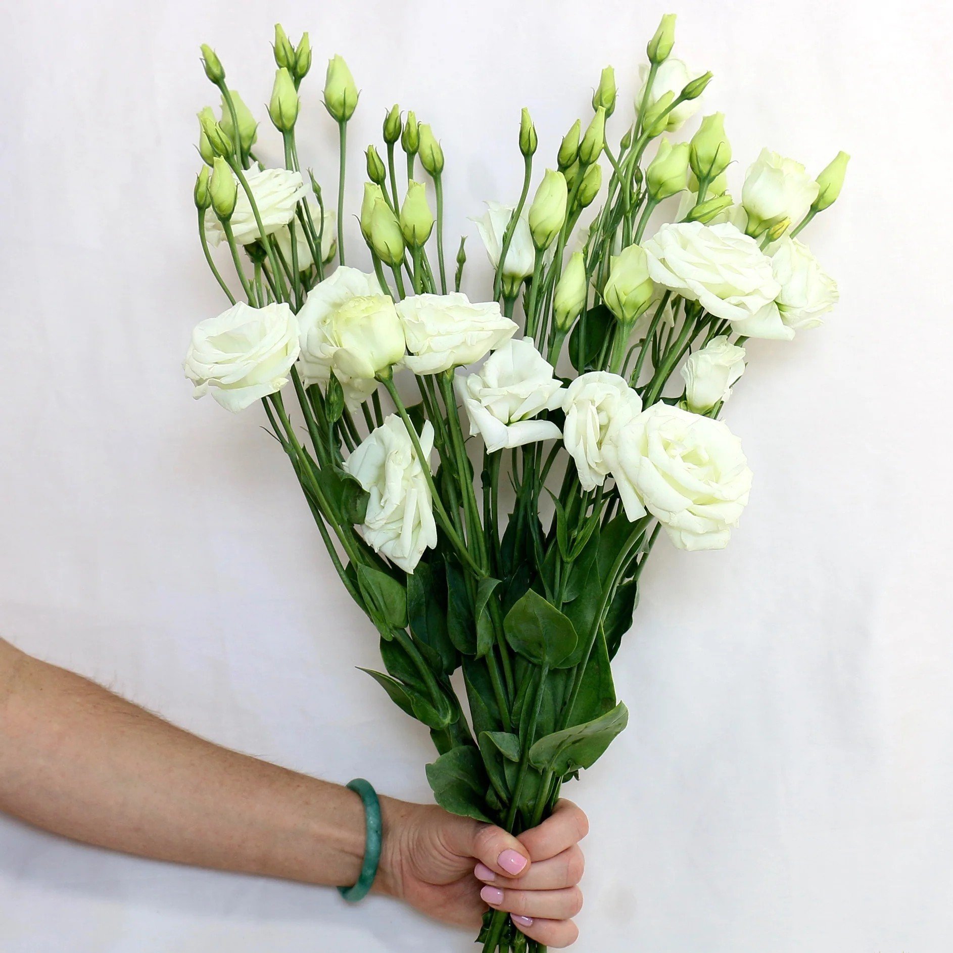 lisianthus_bunch_with_hand_with_logo_e9d11cbb-5a5d-4743-b906-91482ee23f44_2048x+%281%29.jpg