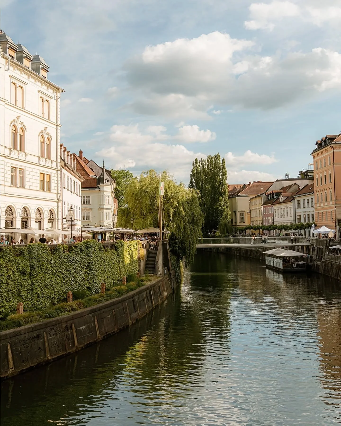 I love and cherish that we get to make memories and take fun family trips with Medena and this time we went to visit beautiful Ljubljana. If you didn't know Ljubljana is pretty pet friendly so Medena got to see many animals at the Zoo and smell the f