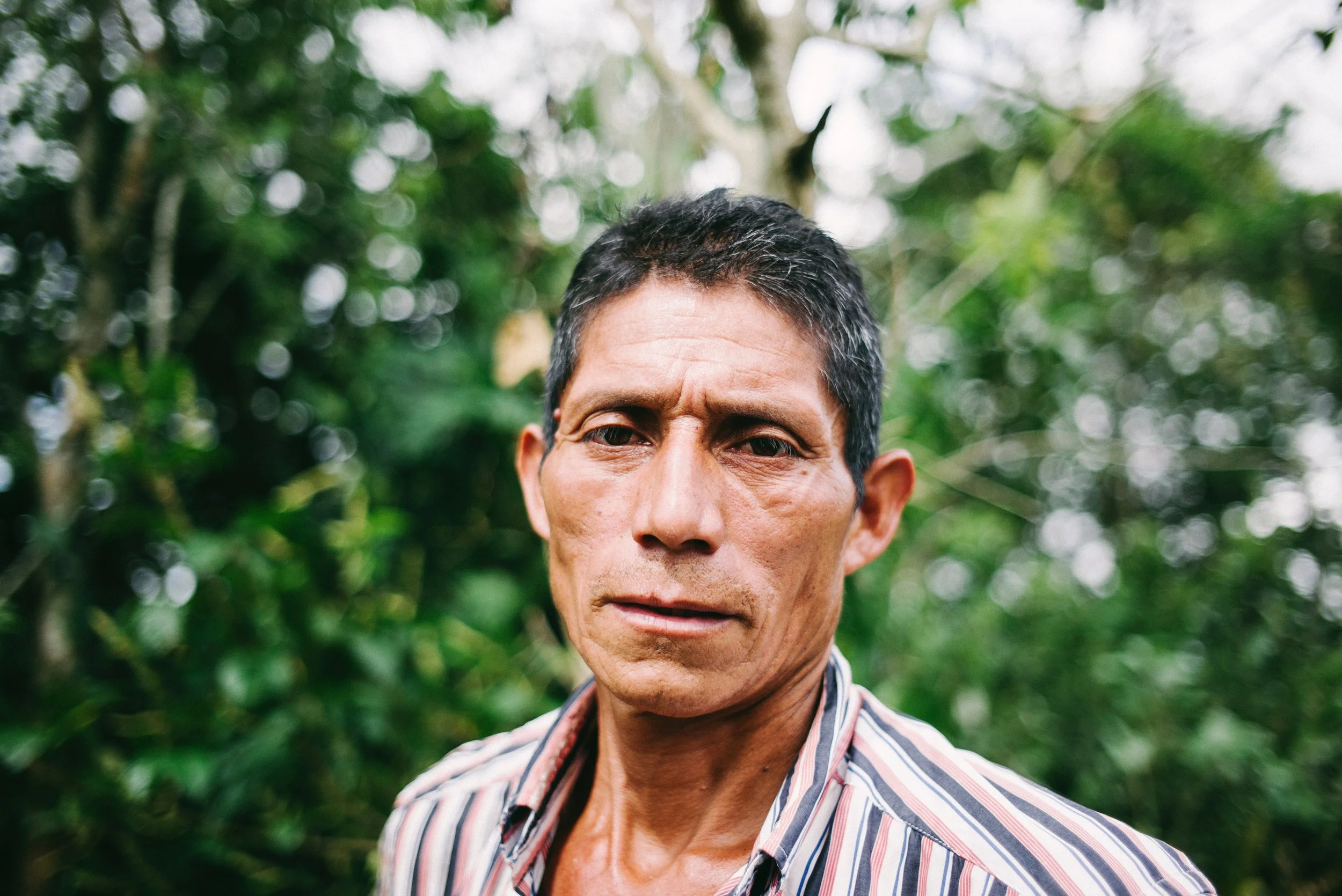 Man with short hair wearing a striped shirt standing outdoors with a blurred natural background.