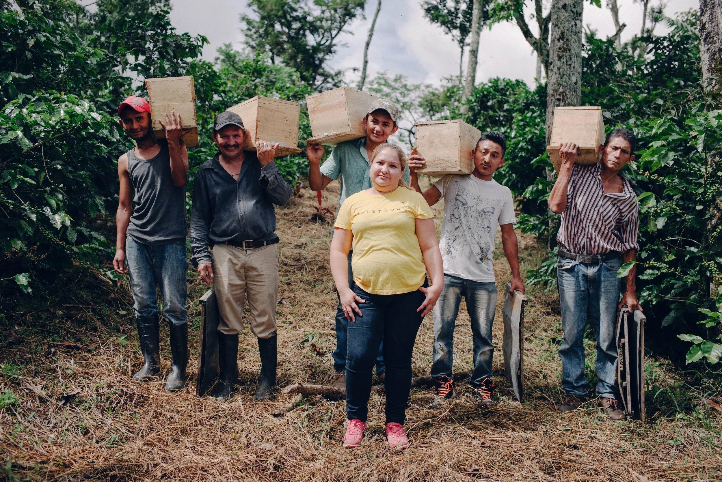 Group of six people, five men and one woman, standing outdoors in a coffee plantation, holding empty wooden crates.