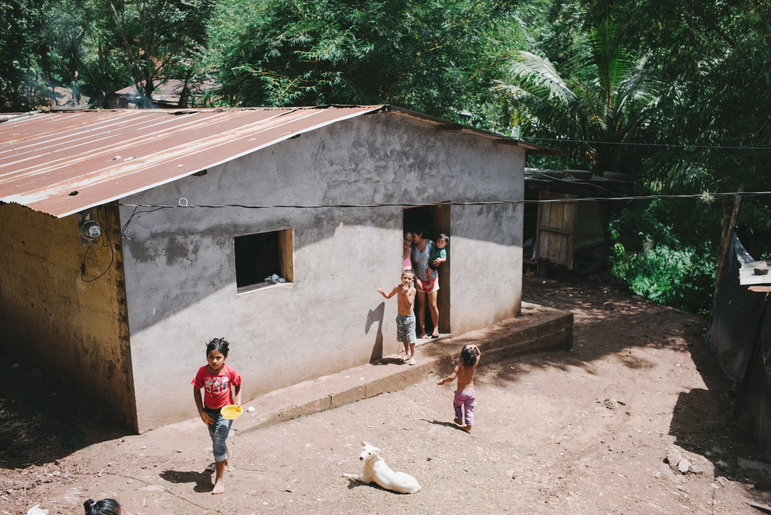 Children playing outside a small rural house with a metal roof, surrounded by greenery. A white dog lies on the ground.