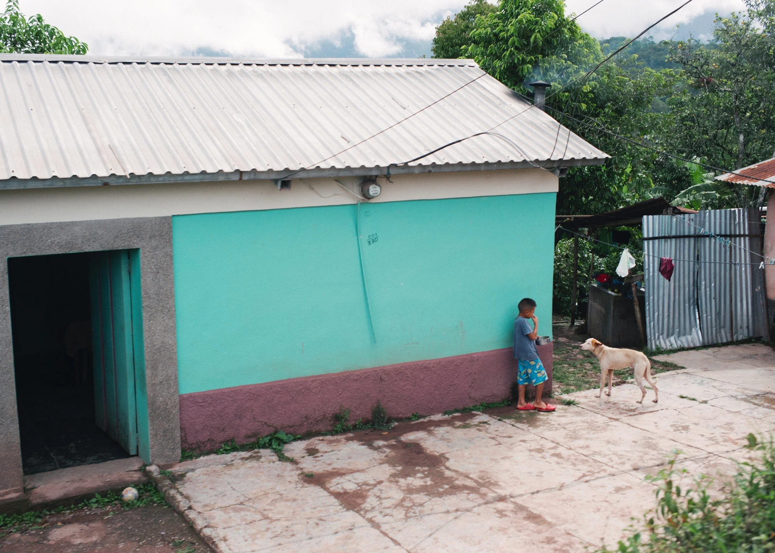 A young boy in colorful shorts stands near a turquoise and pink house, interacting with a dog. The scene includes a corrugated metal roof, a concrete yard, and nearby vegetation.